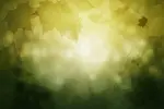 بک گراند انتزاعی پاییز