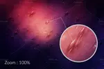 بک گراند قطرات باران و آب