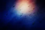بک گراند قطرات باران و آب