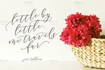 فونت انگلیسی و دستنویس Cintha