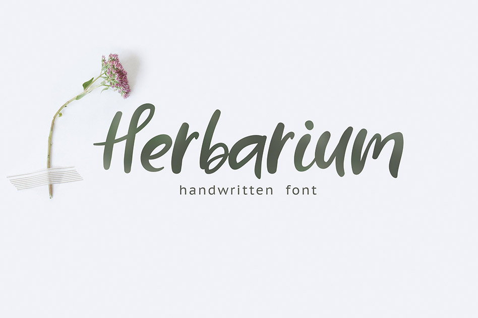 فونت Herbarium