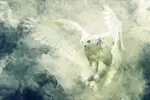 افکت مه و گرد و غبار
