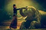 تغییر رنگ قدیمی عکس