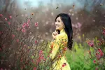 افکت پرواز زنبورهای عسل دوربری شده