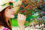 افکت پرواز زنبورهای عسل دوربری شده