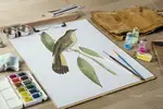 کلیپ آرت پرنده نقاشی شده
