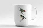 کلیپ آرت پرنده نقاشی شده
