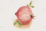 طرح آبرنگی میوه انار