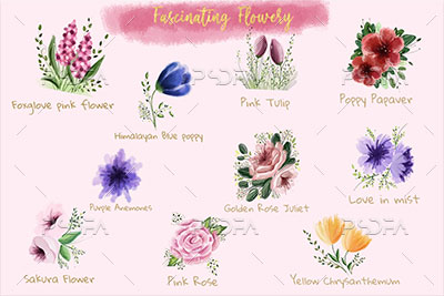 کلیپ آرت گل و شکوفه‌های متنوع و رنگارنگ