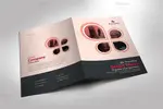 طرح لایه باز پوشه و فولدر ارائه کار