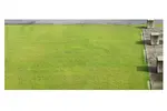 لایه باز انواع درخت ، بوته و چمن