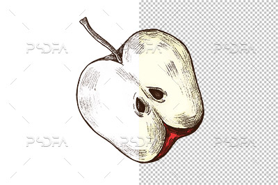 طرح سیب قرمز از وسط برش خورده