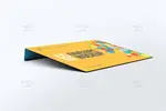 موکاپ پاکت نامه سایز C5