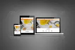 موکاپ ریسپانسیو وب سایت