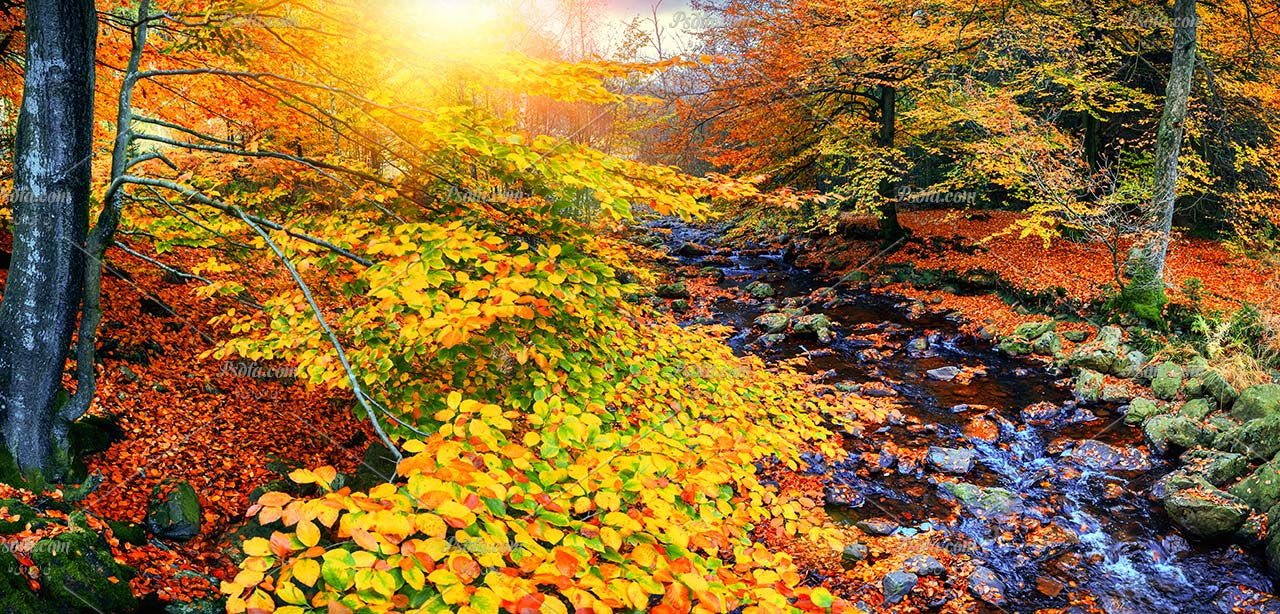 والپیپر و تصویر زمینه از طبیعت فصل پاییز