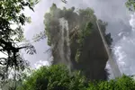 والپیپر گرافیکی